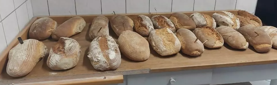 Brot